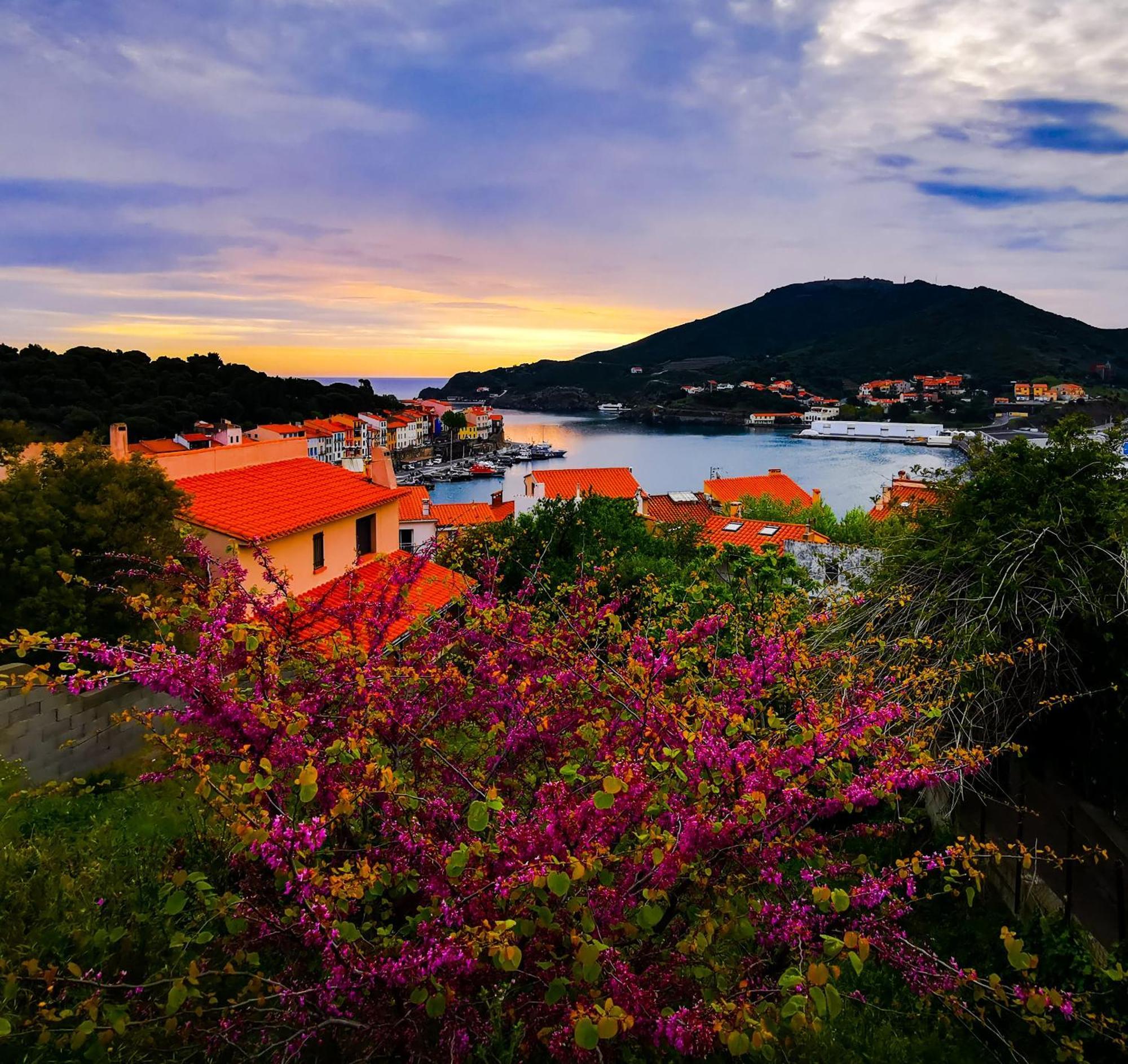 1Br Apartment T2 54M2 Onde Marine 2Nd Floor Lift Wifi Ac Parking Port Vendres Luaran gambar